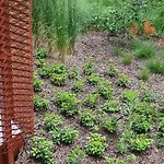 Good Time Dabrowskiego 58 * بوزنان