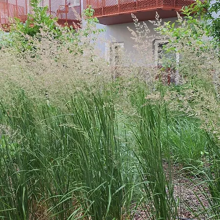 Διαμέρισμα Good Time Dabrowskiego 58