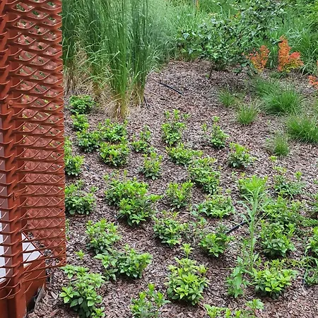 Good Time Dabrowskiego 58 * 포즈난