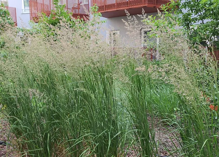 Διαμέρισμα Good Time Dabrowskiego 58