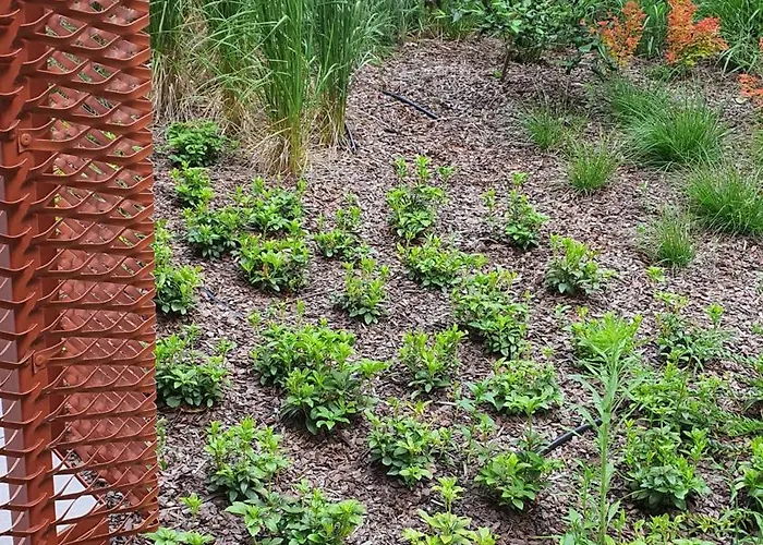 Good Time Dabrowskiego 58 * 포즈난