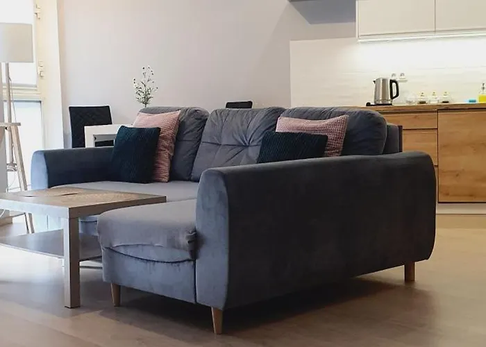 아파트 Good Time Dabrowskiego 58